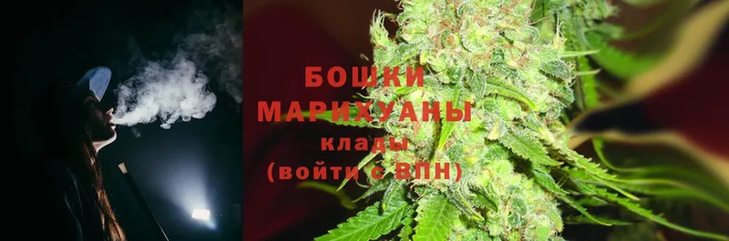 наркотики  Прокопьевск  Бошки марихуана Amnesia 